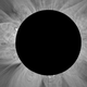 Illustration for article titled These Are the Most Complete Pictures Yet of the Suns Atmosphere